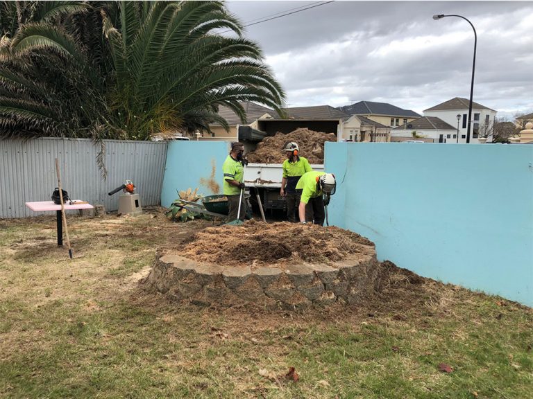 Stump Grinding & Removal – Northern Adelaide, Gawler & Barossa | BOSS ...